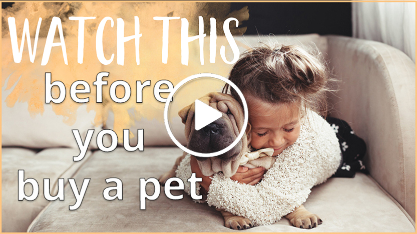 How animals enhance your wellbeing