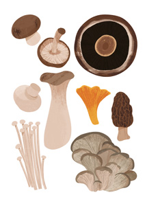 How to cook mushroom perfectly How to cook mushroom perfectly
