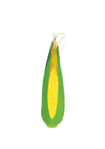 How to cook corn perfectly How to cook corn perfectly