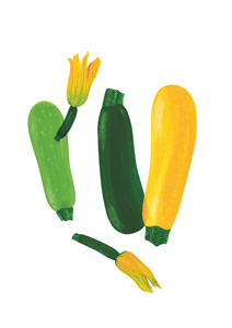 How to cook zucchini perfectly How to cook zucchini perfectly