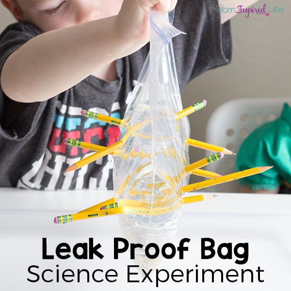 Leak proof bag experiment Leak proof bag experiment
