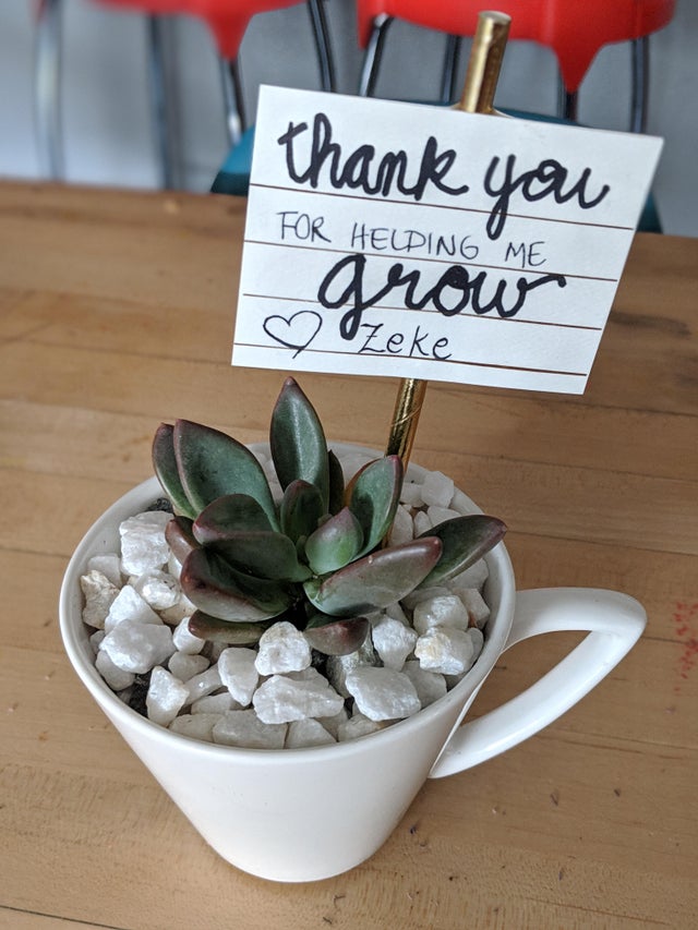 thanks for helping me grow thanks for helping me grow