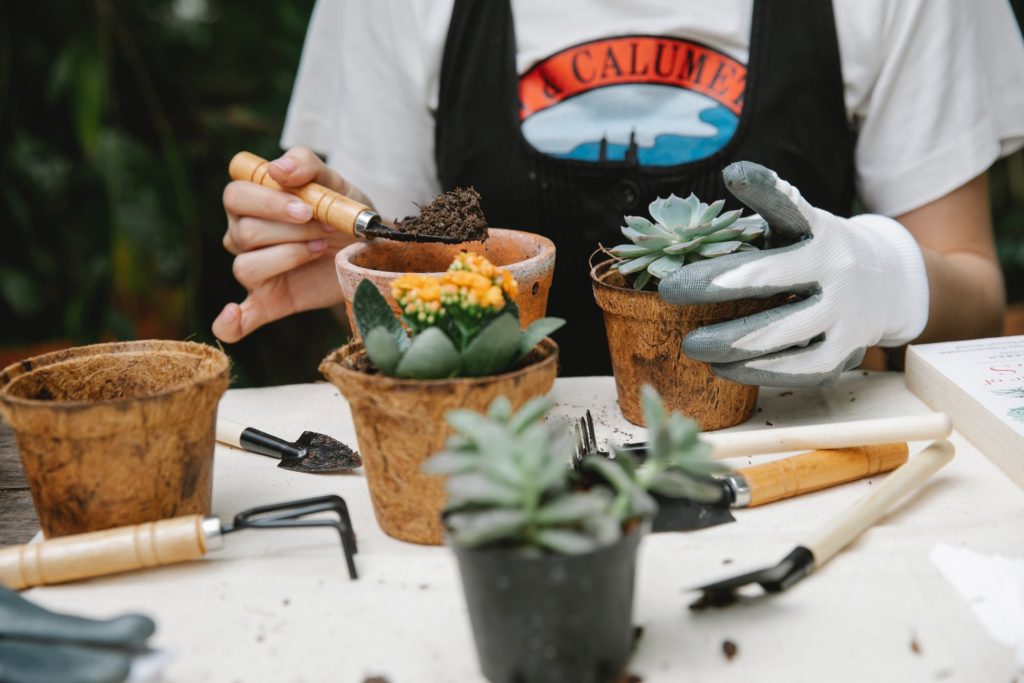 eco-friendly gifts