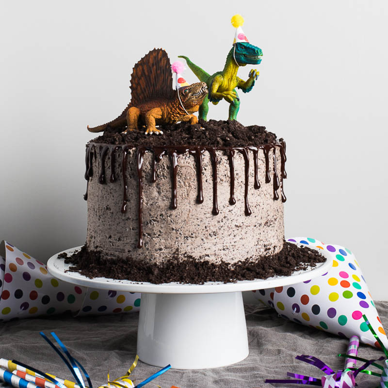 10 Choc-saurus dinosaur cake